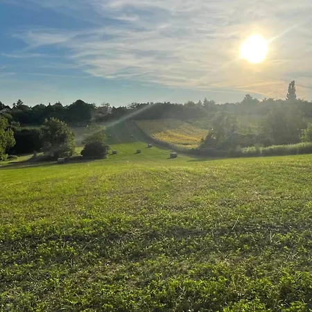 Relax Garden شقة إيغال